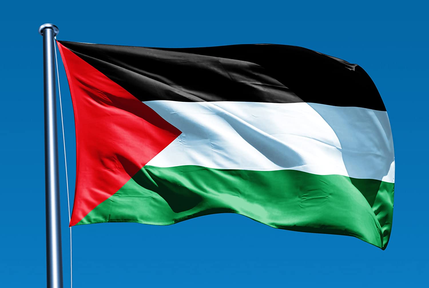 فلسطين والدنمارك تبحثان التطورات الميدانية في قطاع غزة والضفة الغربية