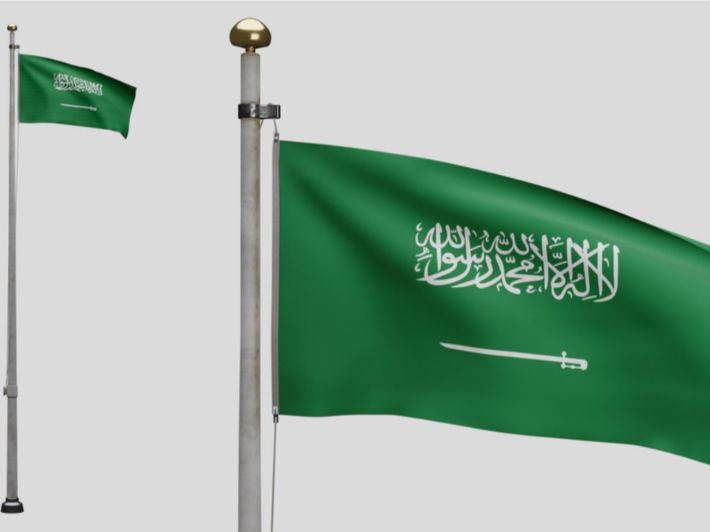 السعودية تطالب مجلس الأمن باتخاذ قرارات فورية لوقف القتل والتجويع بغزة