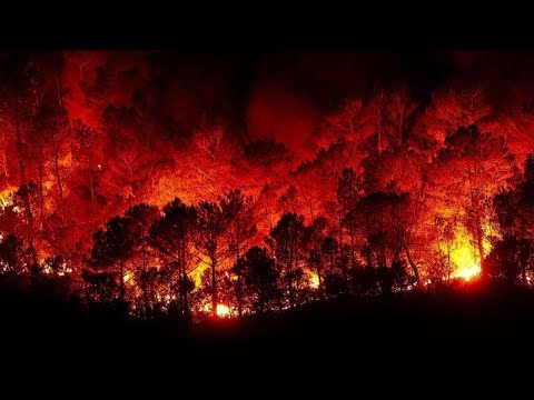 حرائق تلتهم غابات اللاذقية.. صعوبات وألغام تعرقل الإطفاء