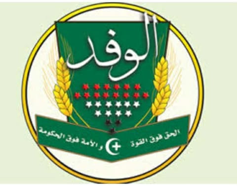 انطلاق القافلة الطبية الشاملة لحزب الوفد إلى العريش منتصف مايو