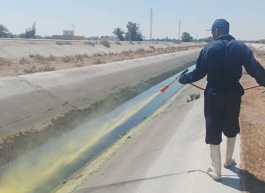 بخطوات استباقية.. “صحة شمال سيناء” تكثف حملات مكافحة نواقل الأمراض والقوارض تزامنا مع فصل الصيف