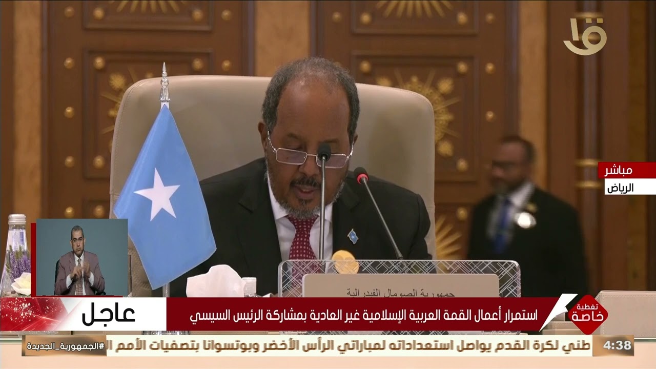 رئيس الصومال: ذكرى الوحدة والحرية تجسد كفاح الاستقلال والحفاظ على وحدة البلاد أولوية وطنية